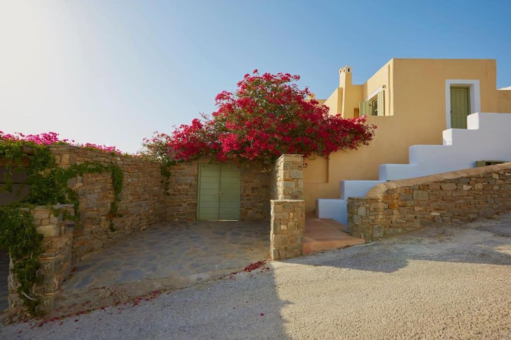 Ochre Dream, Beach Front & Sunset Villa Naousa Dış mekan fotoğraf